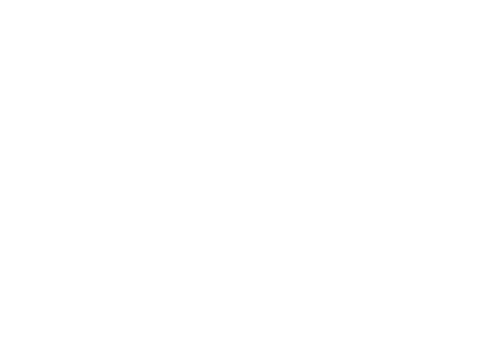 Logo Bianco - Sirt Torino